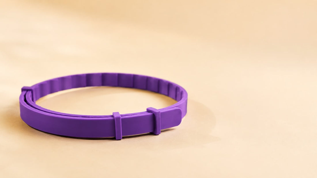 Pawprint Calming Collar — free gift with your first order