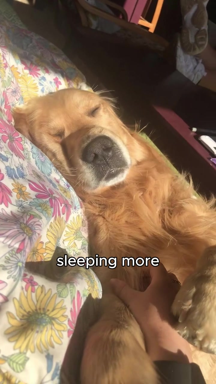 July lying back during a nap in the selected source video