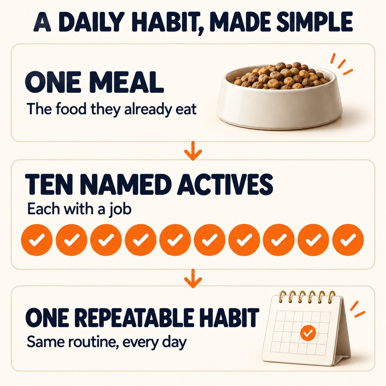 A daily habit made simple: one meal, ten named actives, one repeatable habit