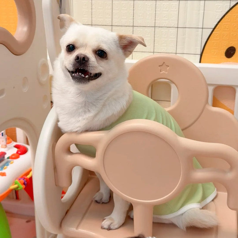 — Amanda K., Dog Owner (verified)