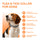 Repellent Collars