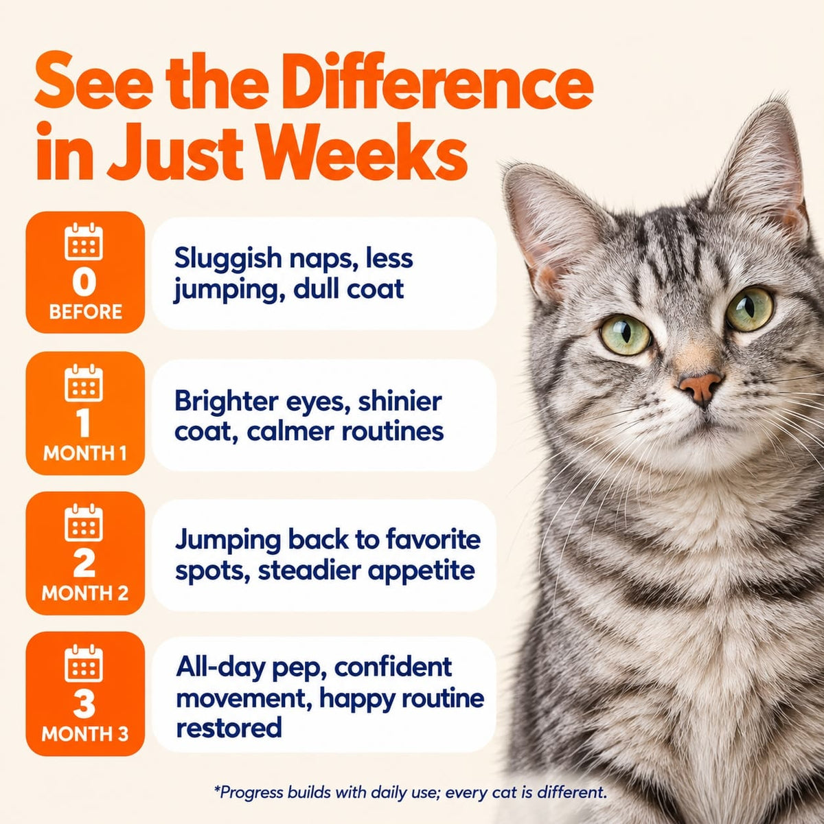 Cat Protocol