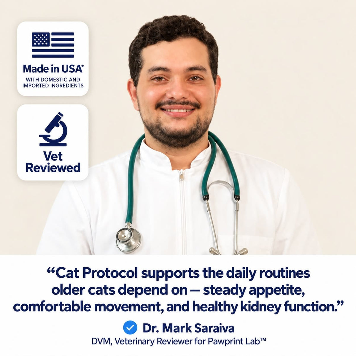 Cat Protocol