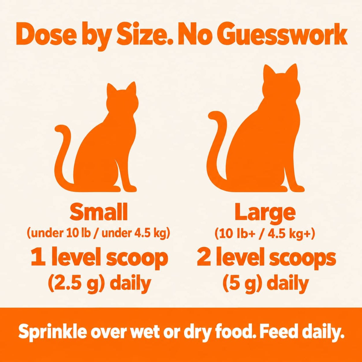 Cat Protocol