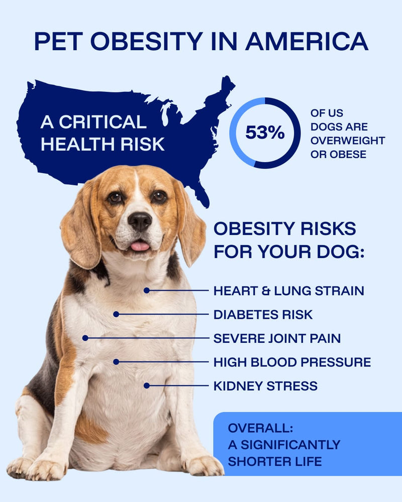 Your Dog Isn't Lazy. Their Body Is Stuck in a Weight Trap. This Breakthrough Formula Helps Overweight Dogs Move Again.