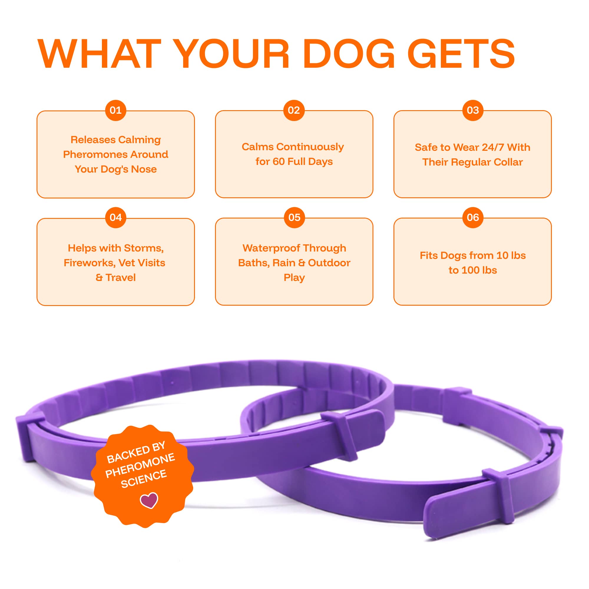 Calming Collars