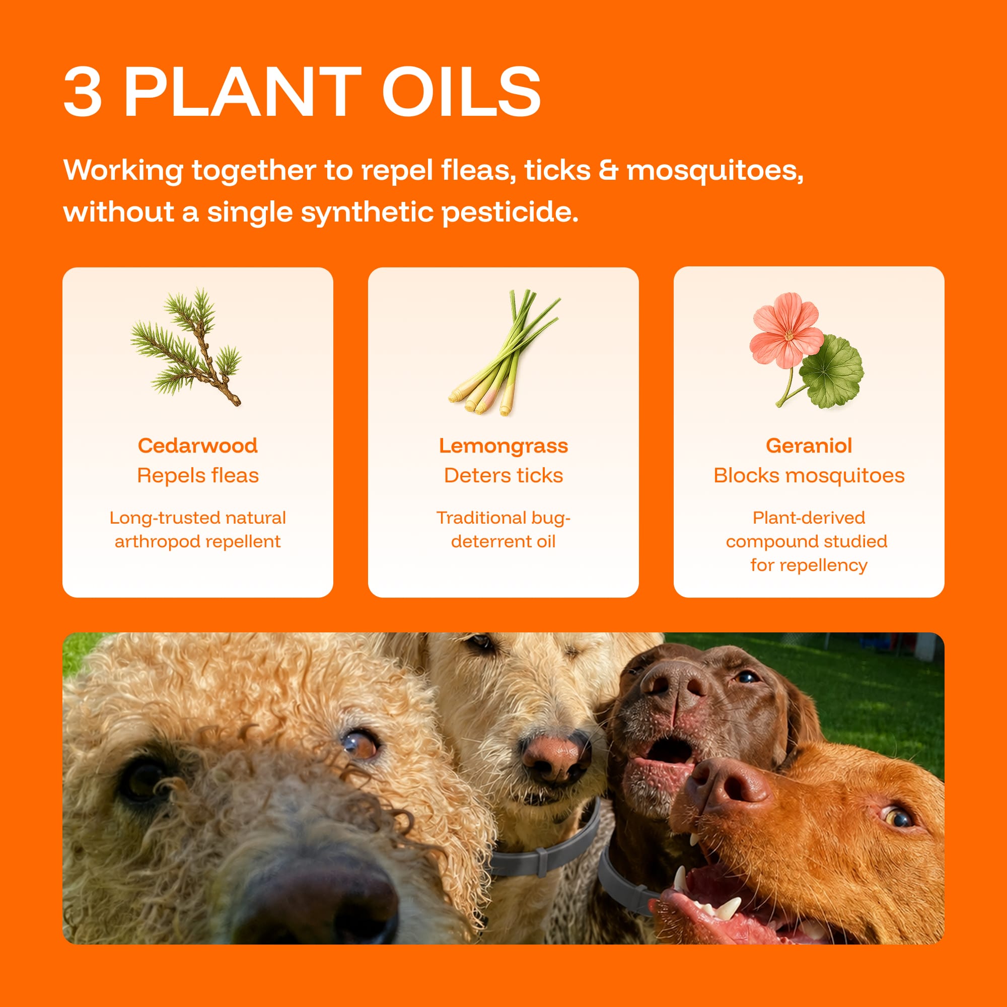 Repellent Collars