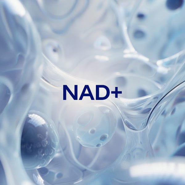 NAD+ (Nicotinamide Adenine Dinucleotide)