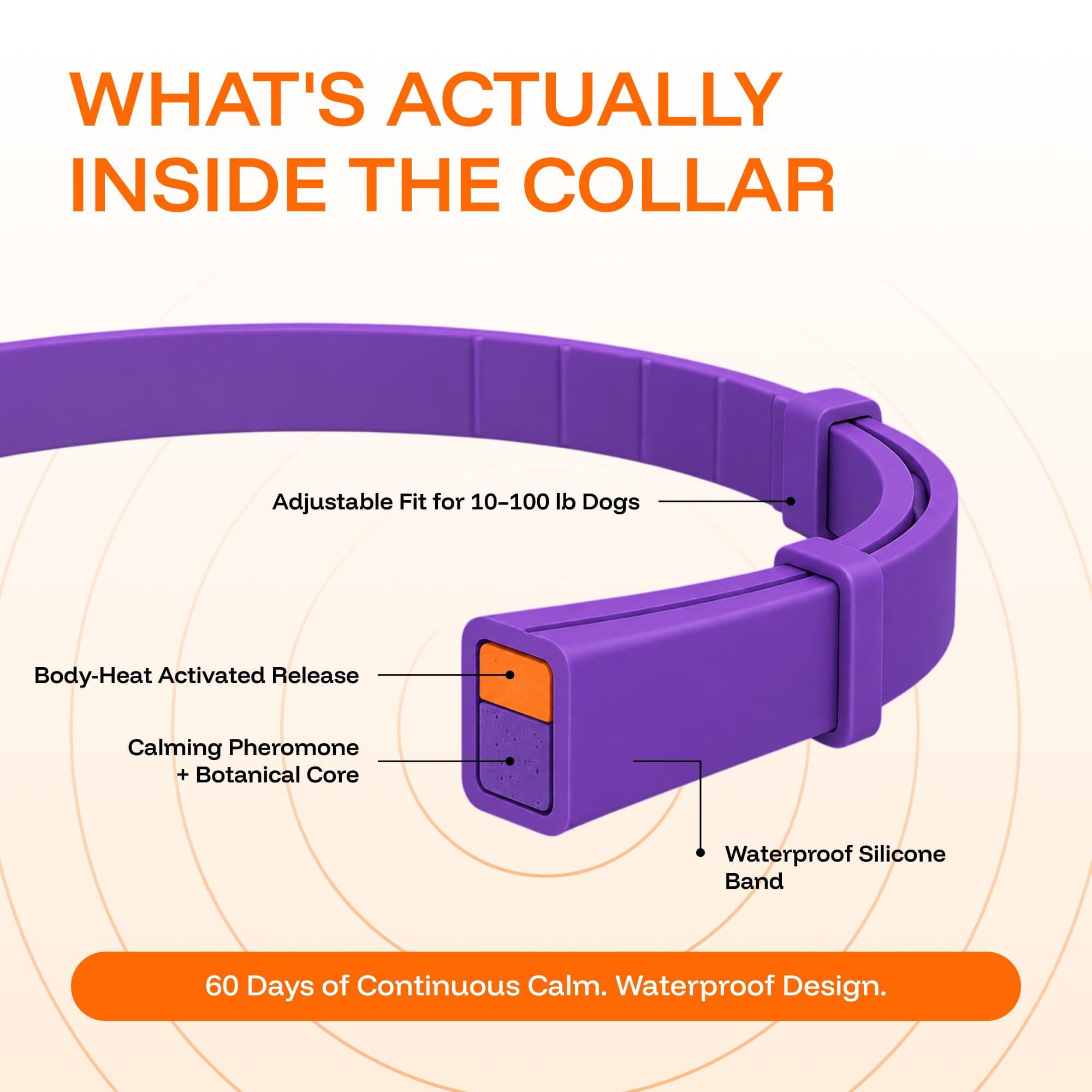 Calming Collars