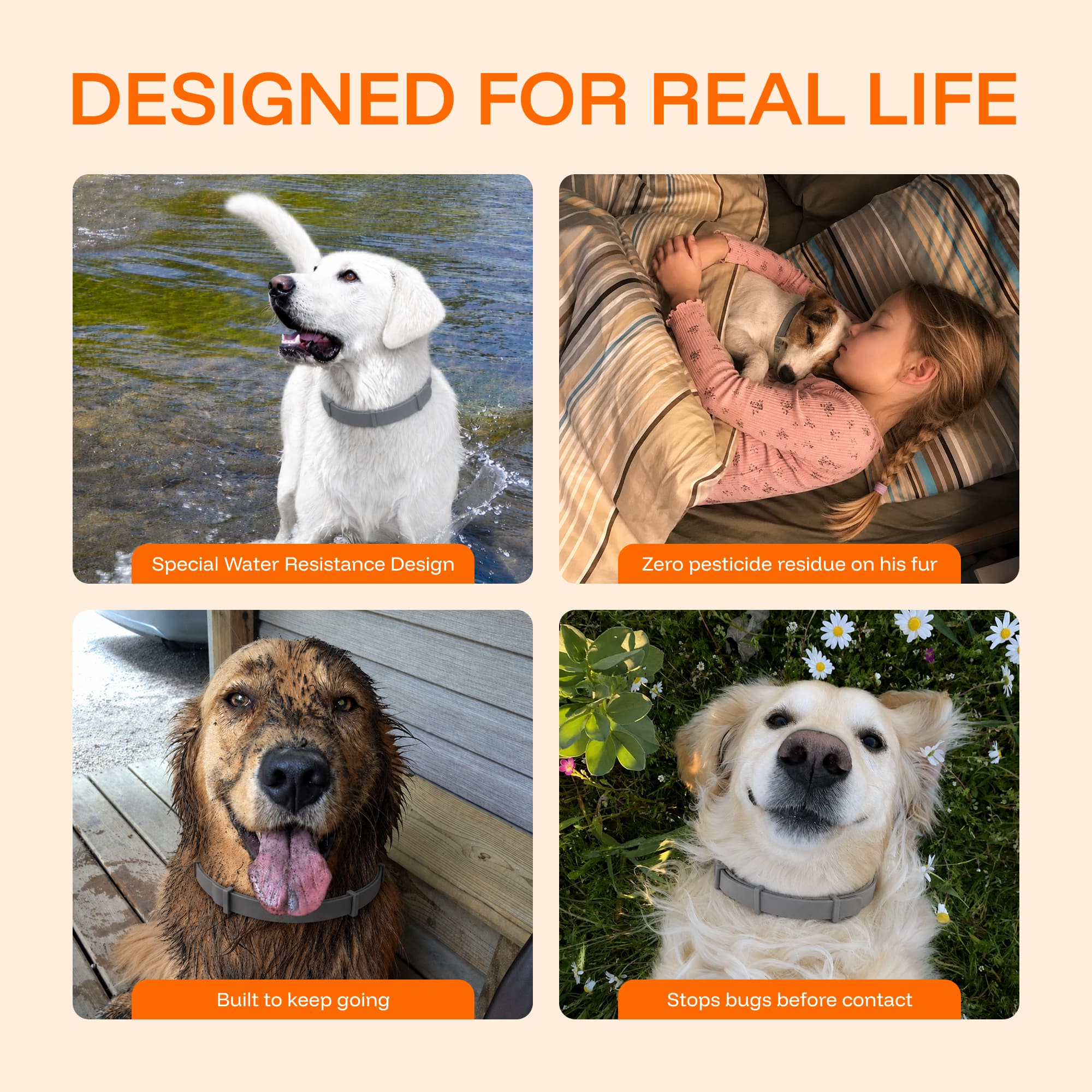 Repellent Collars
