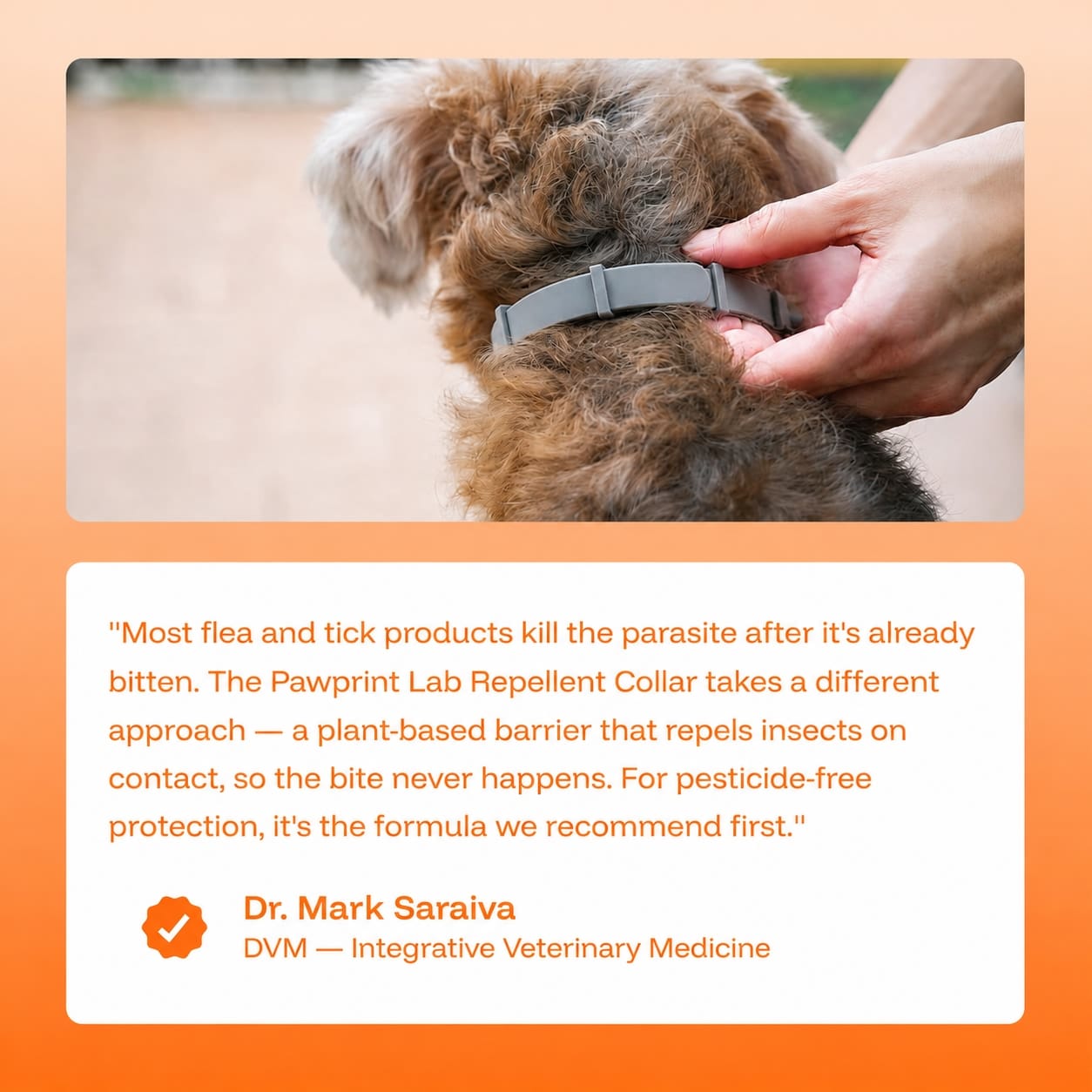 Repellent Collars