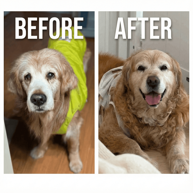Before and after transformation