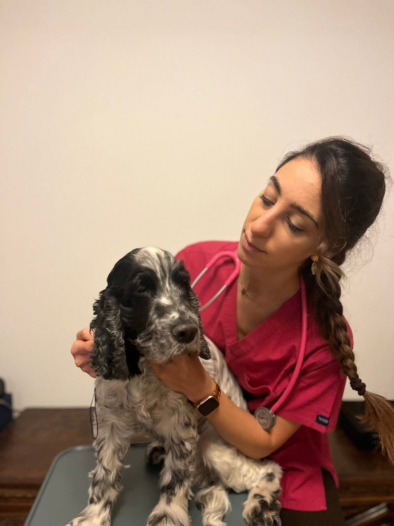 The Simple, Science-Backed Way to Help Your Senior Dog Feel Young Again