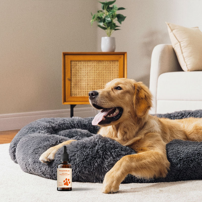 Pawprint Wellness Protocol