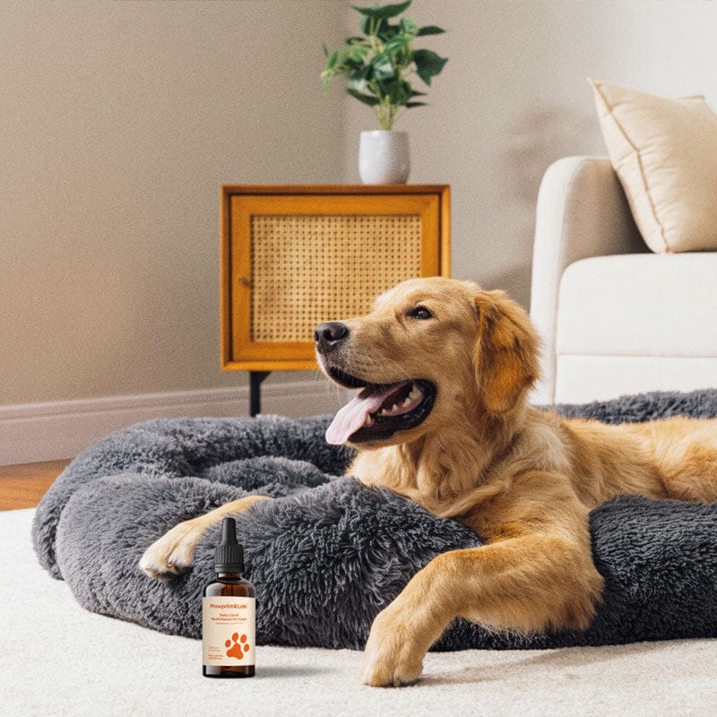 PAWPRINT WELLNESS PROTOCOL