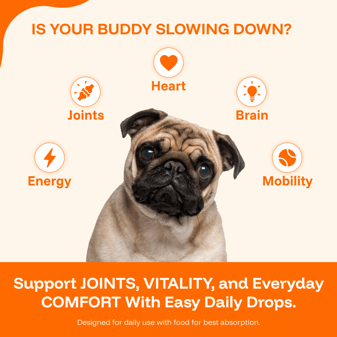 PAWPRINT WELLNESS PROTOCOL
