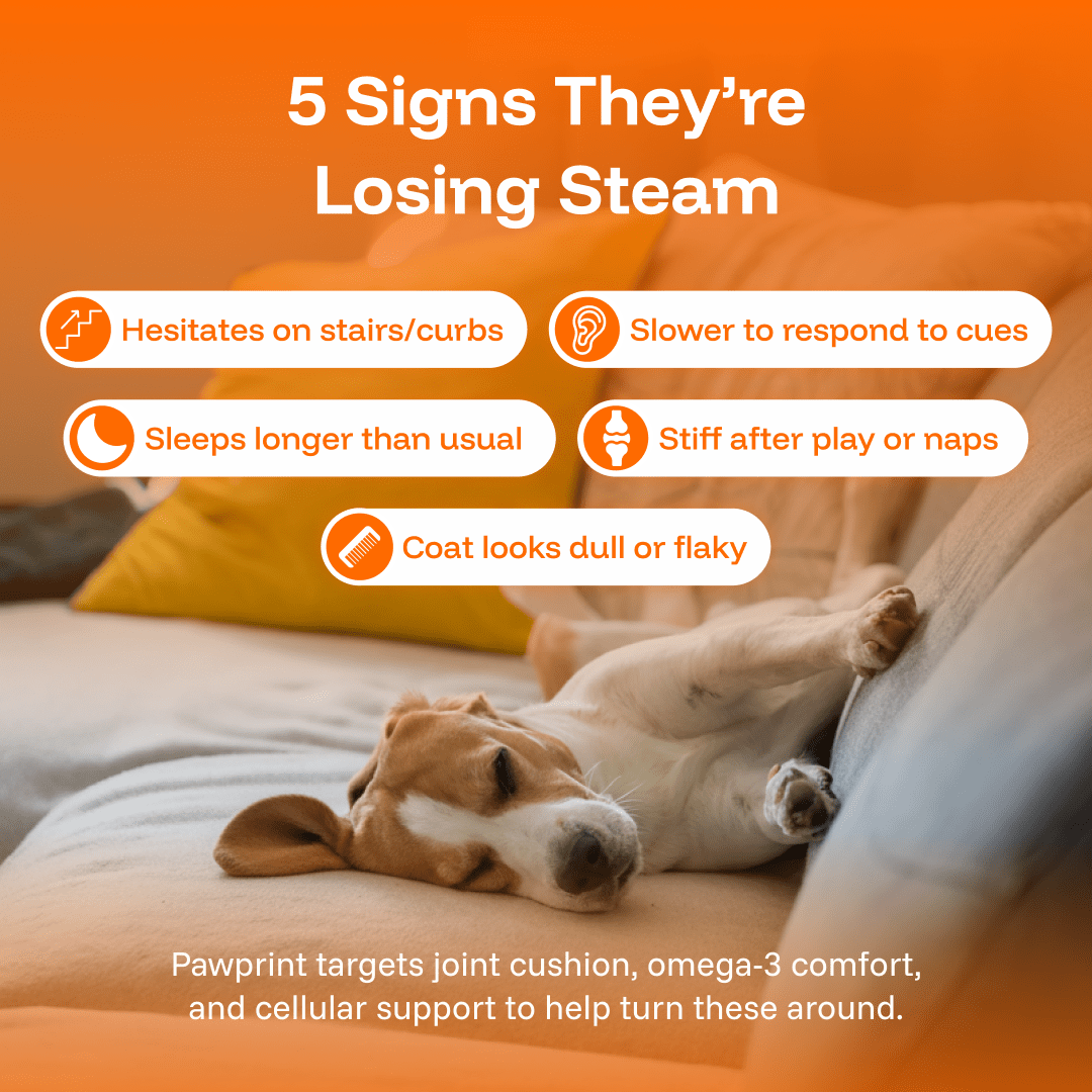 PAWPRINT WELLNESS PROTOCOL