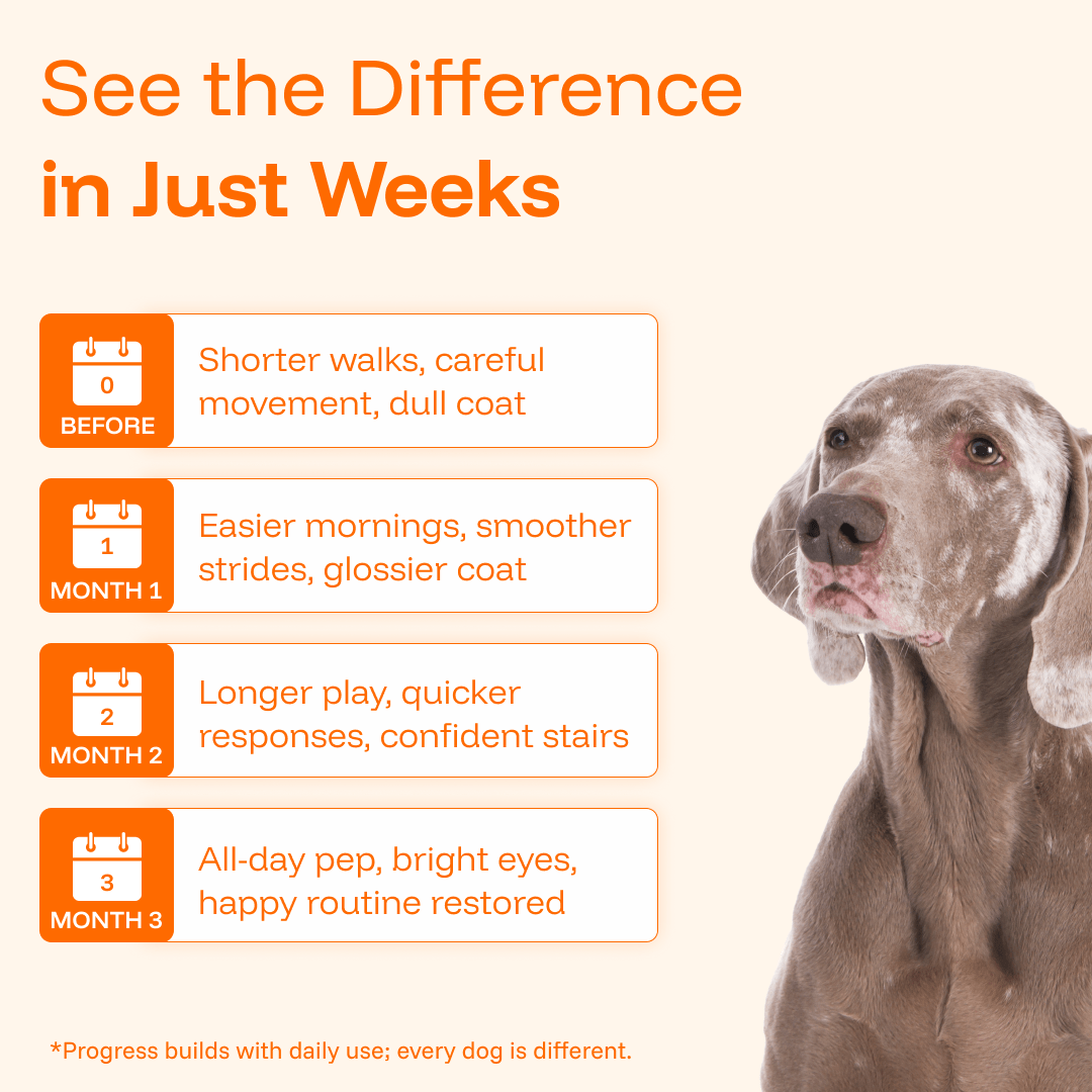 Pawprint Wellness Protocol