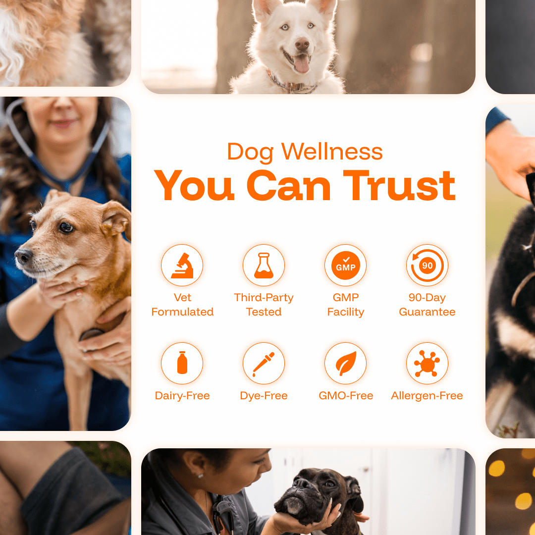 PAWPRINT WELLNESS PROTOCOL