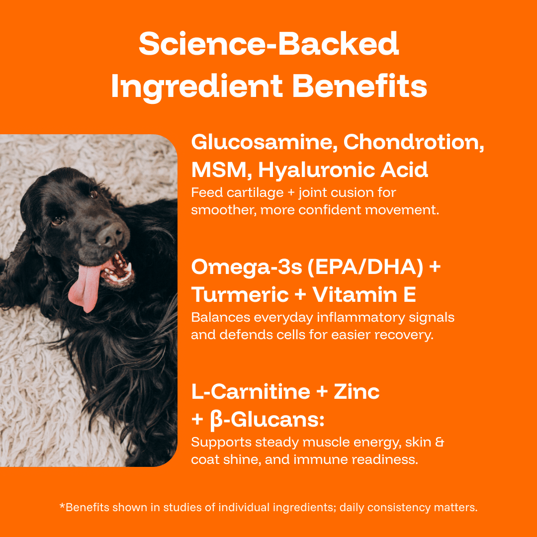 PAWPRINT WELLNESS PROTOCOL