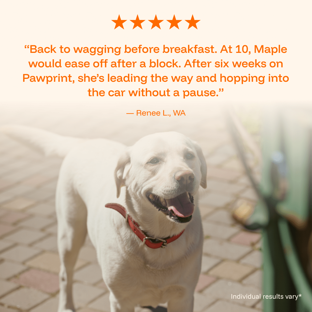 PAWPRINT WELLNESS PROTOCOL