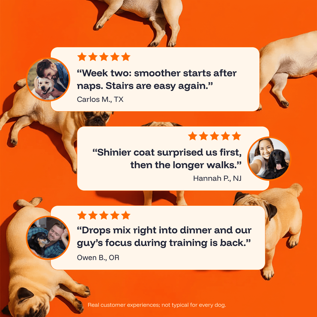 Pawprint Wellness Protocol