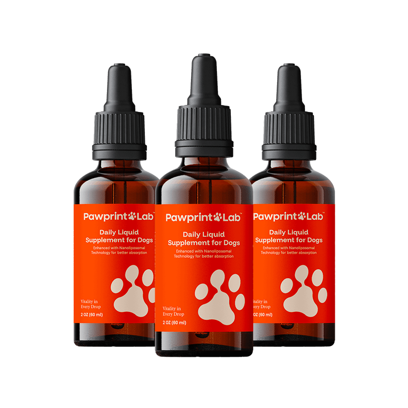 Three bottles of Pawprint Protocol liquid drops for senior dogs.