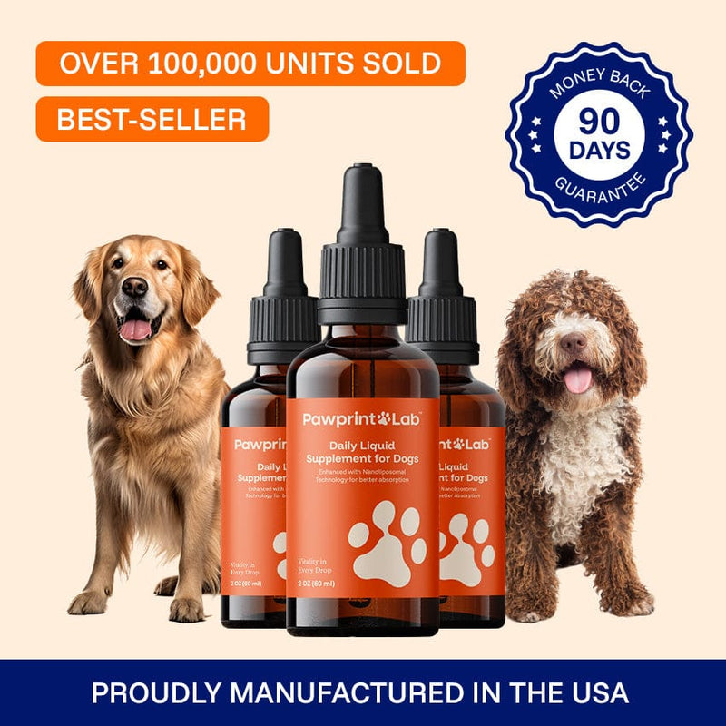 Your Dog Is 8+. How Many Good Years Do They Have Left?