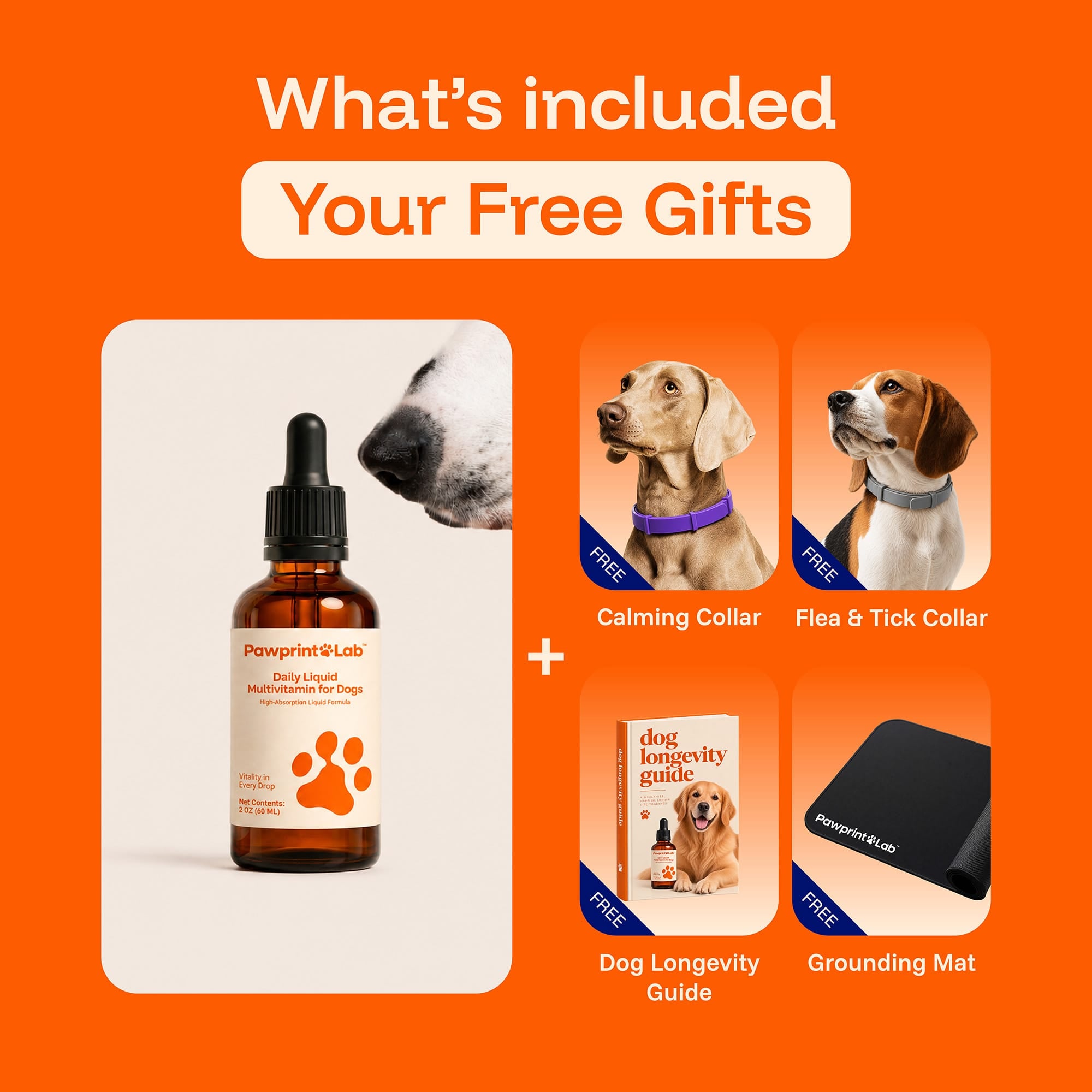 PAWPRINT WELLNESS PROTOCOL