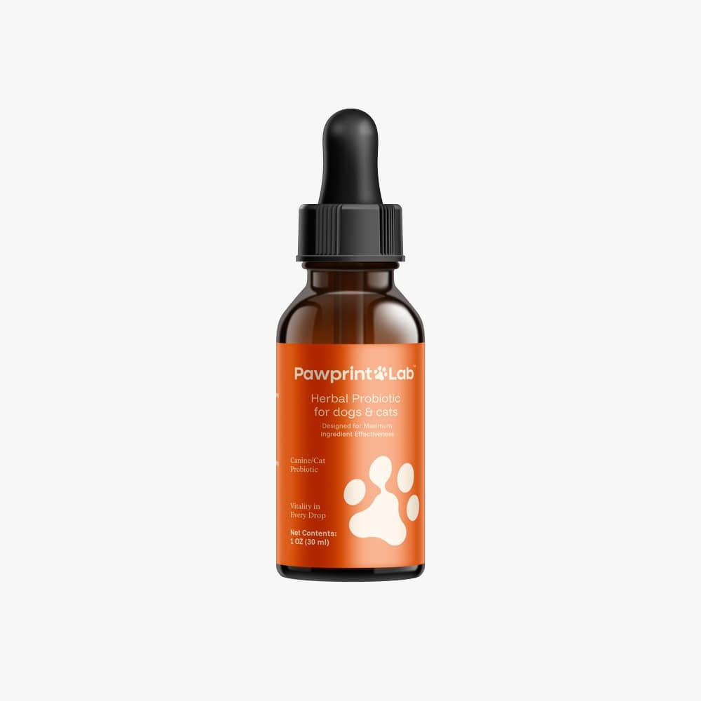 Herbal Probiotic for Dogs & Cats