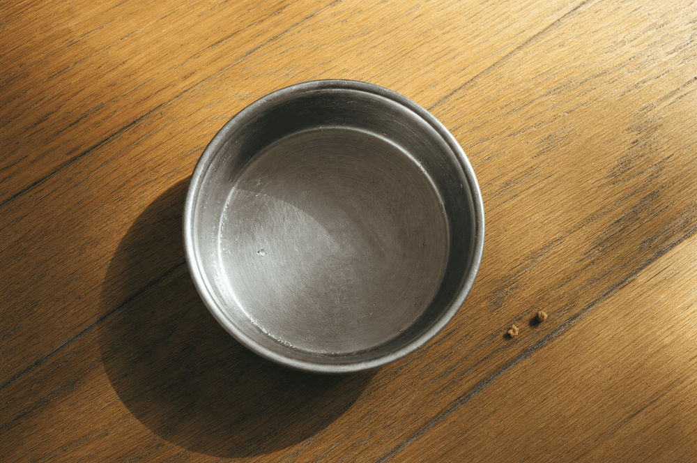 Empty dog bowl licked completely clean on a wood floor