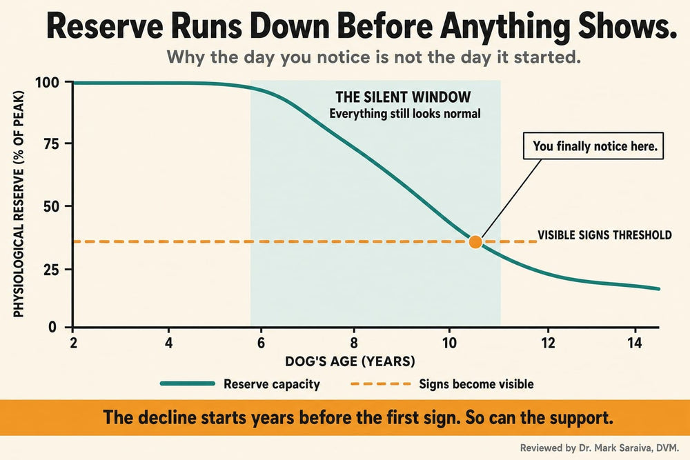 Chart showing physiological reserve declining years before visible signs appear