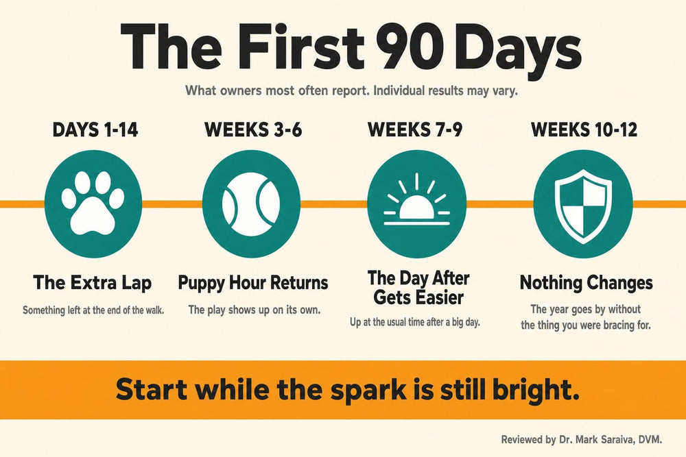 Timeline graphic of what owners report across the first 90 days