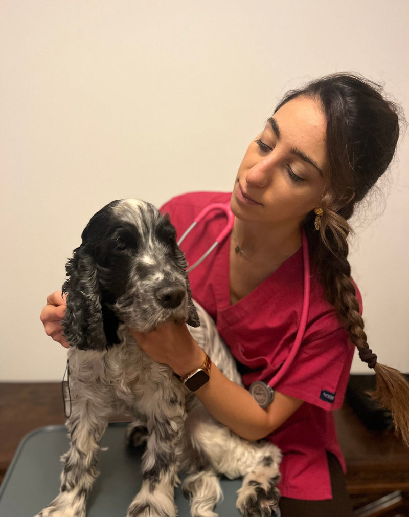 The easy way to keep your senior dog feeling young again