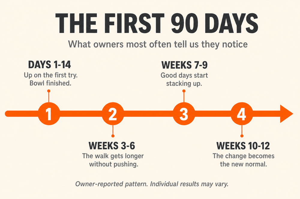 Timeline of the first 90 days and what owners most often report noticing at each stage