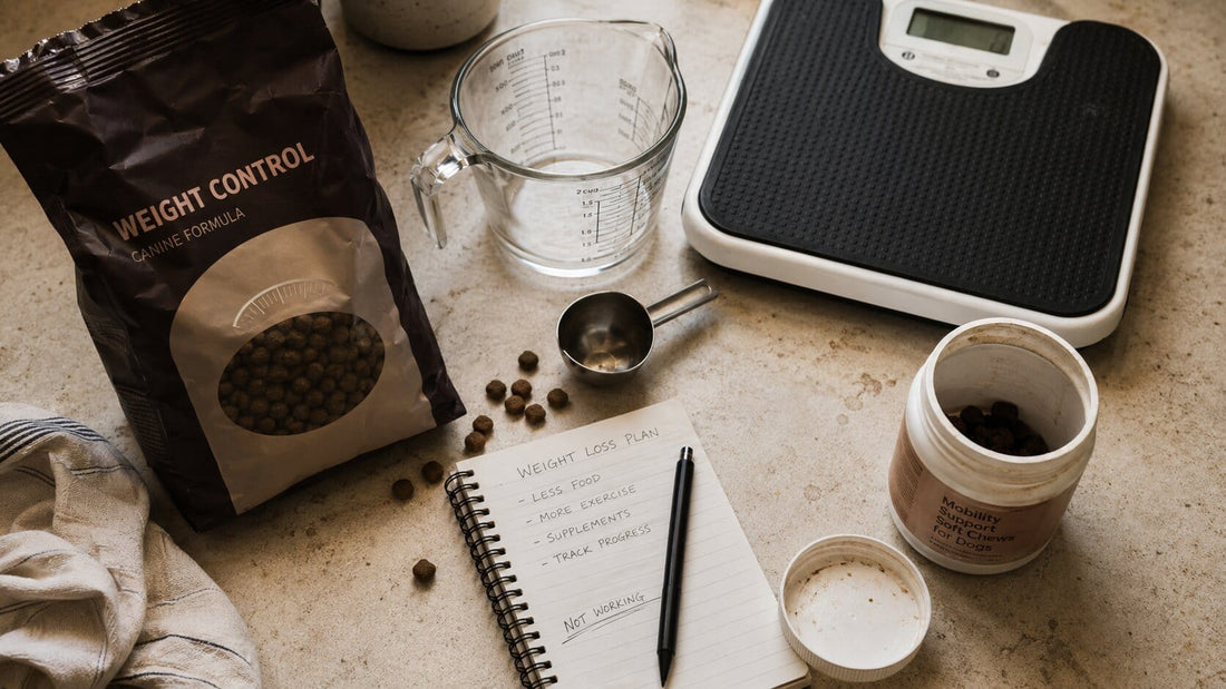 Measuring cup, weight-control kibble, and a scale that won't budge
