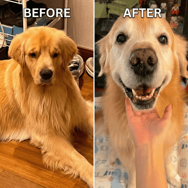 Before and after transformation
