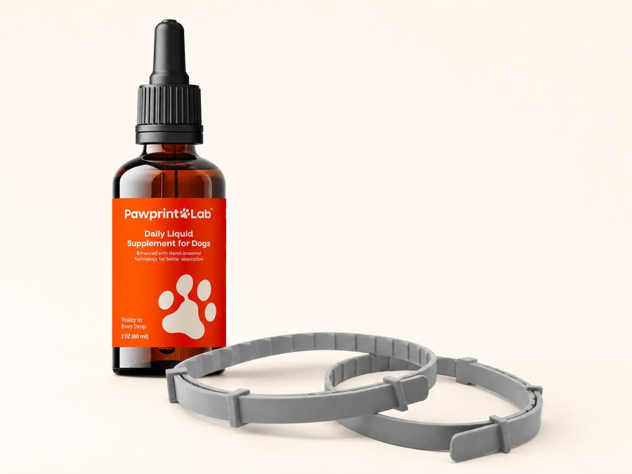 Pawprint Lab box with the free Pawprint Repellent Collar