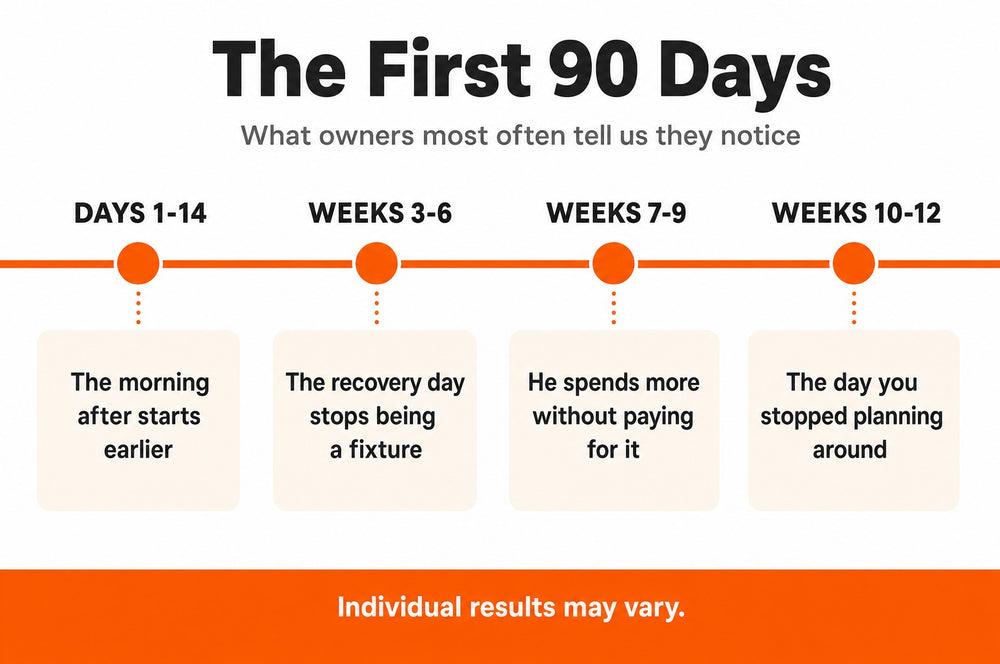 Timeline: what owners notice across the first 90 days