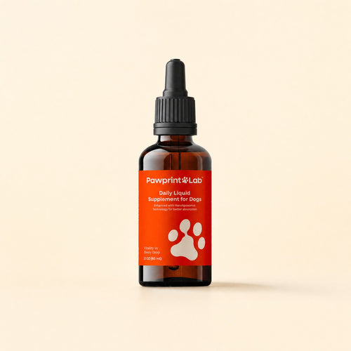 Pawprint Protocol bottle, square product shot