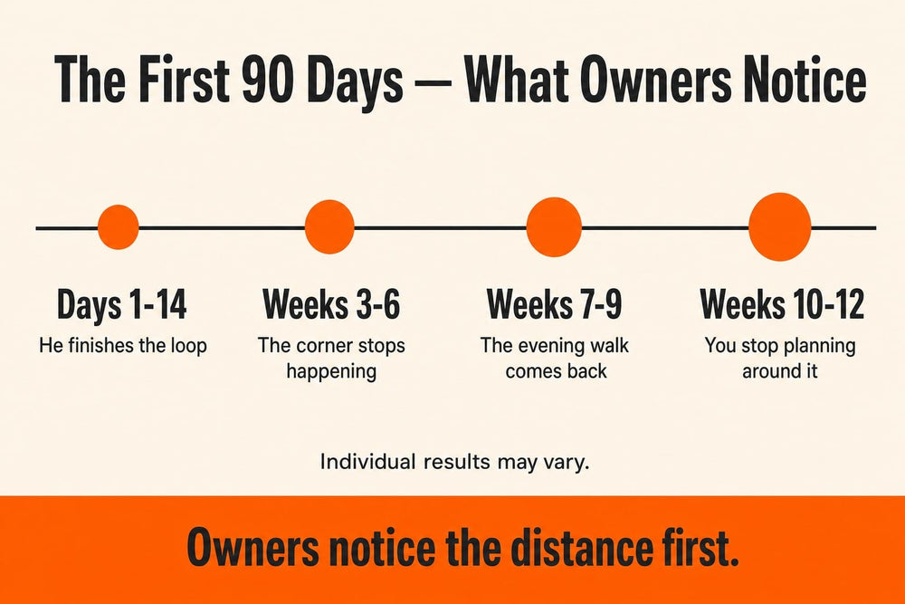 Timeline: what owners notice across the first 90 days, in four stages