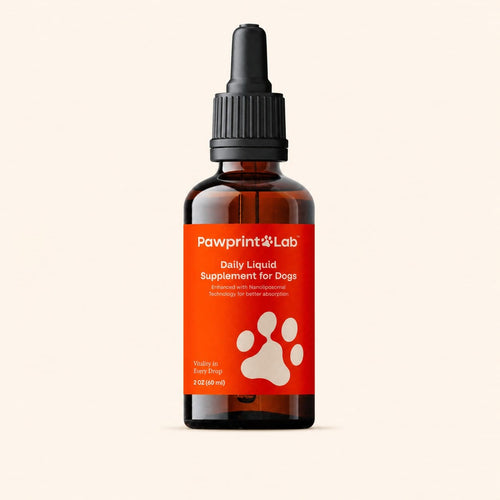 The Pawprint Lab 2 oz amber dropper bottle, front label facing the camera