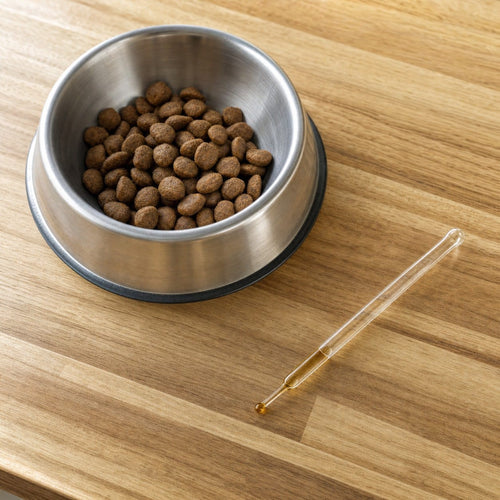 A glass dropper with an amber droplet beside a steel bowl of kibble on a wooden counter