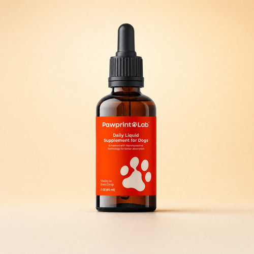 Pawprint Protocol 2 oz amber dropper bottle, front view