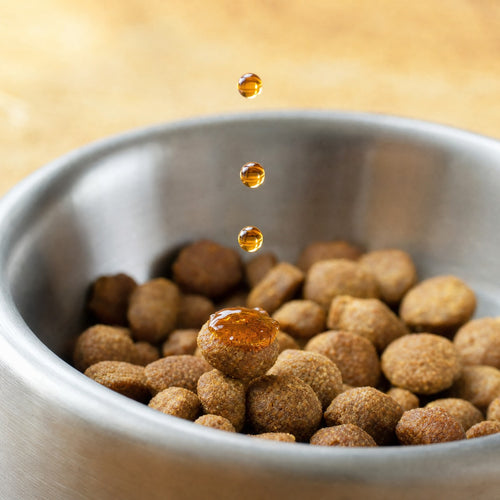 Amber liquid drops landing on dry kibble in a stainless steel dog bowl