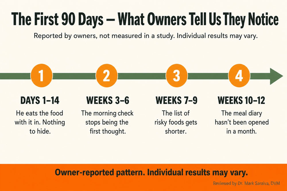 Timeline of what owners report noticing over the first 90 days