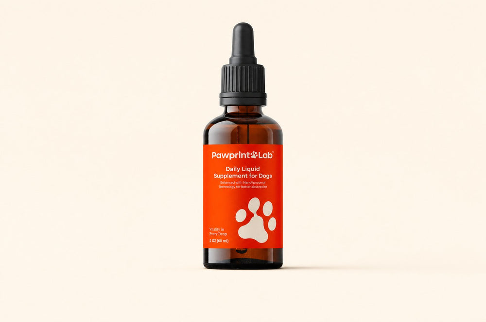 The Pawprint Lab Daily Liquid Supplement for Dogs dropper bottle