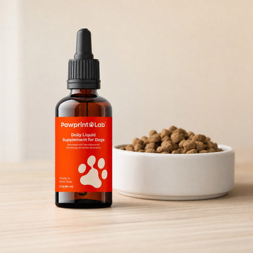 The Pawprint Lab dropper bottle on a worktop beside a bowl of dry dog food