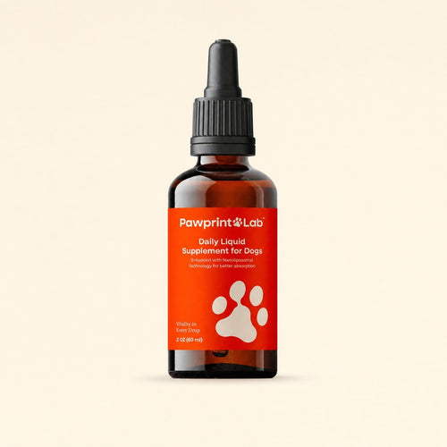 The Pawprint Protocol dropper bottle photographed straight on against a cream background