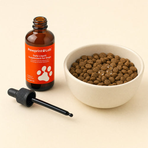The open bottle with its dropper resting beside it and drops on a bowl of kibble